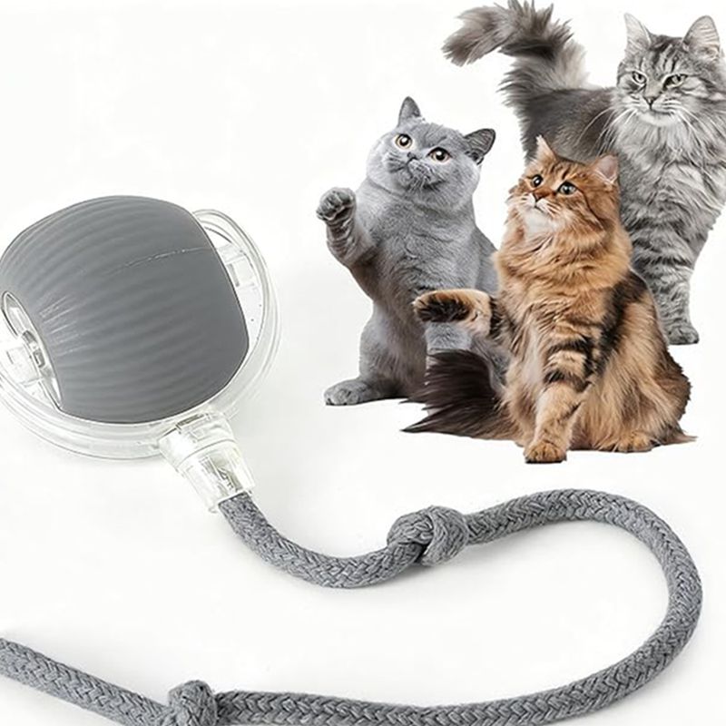 Cat toy with a rope and three cats on a white background