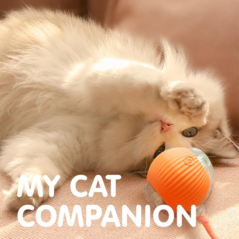 Cute kitten playing with an orange ball labeled 'My Cat Companion' on a soft surface.
