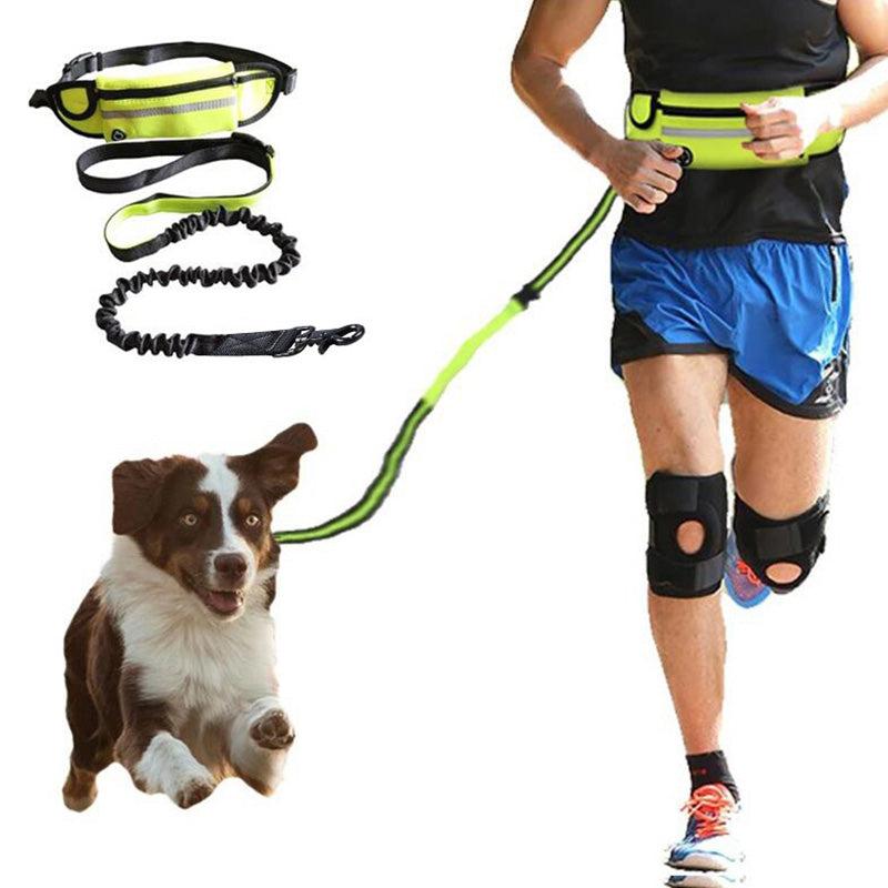 A dog leash and matching waist bag set shown with a dog on the left and a runner wearing the leash and bag on the right. The leash is bright neon green and black with a bungee-style connector, and the waist bag is neon green with black trim.