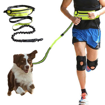 A dog leash and matching waist bag set shown with a dog on the left and a runner wearing the leash and bag on the right. The leash is bright neon green and black with a bungee-style connector, and the waist bag is neon green with black trim.
