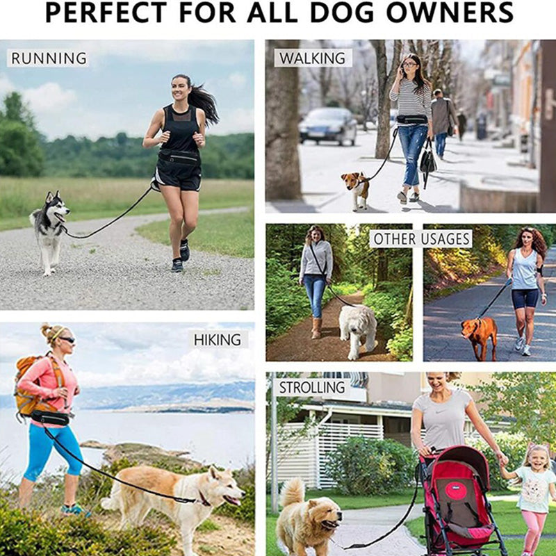A collage of six lifestyle photos showing women walking dogs in various outdoor settings: running, walking on a street, hiking, strolling, and pushing a stroller. Large text at the top reads 'PERFECT FOR ALL DOG OWNERS.