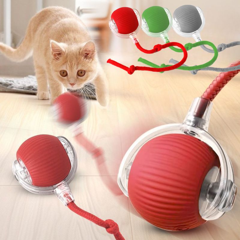 Cat playing with a red and silver ball toy on a light wooden floor.