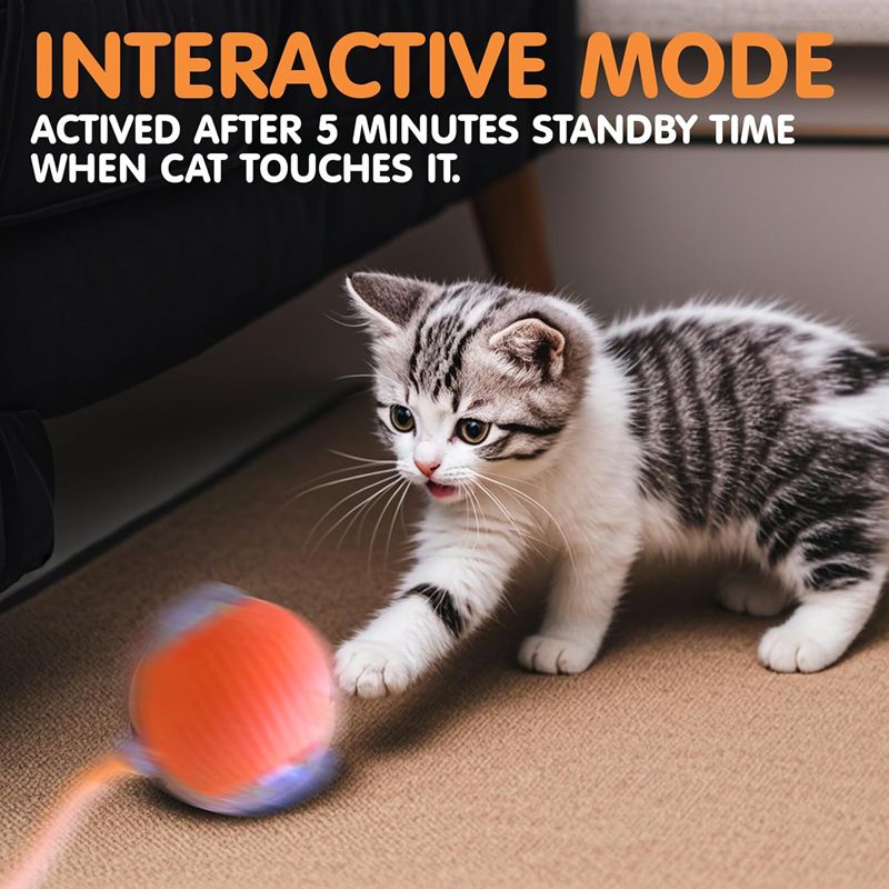 Kitten playing with a toy on a carpeted floor, with text about interactive mode.