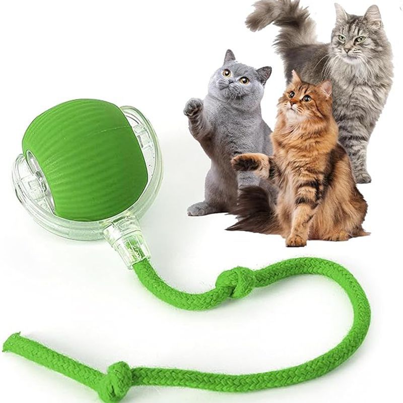 Green cat toy with a rope and three cats on a white background