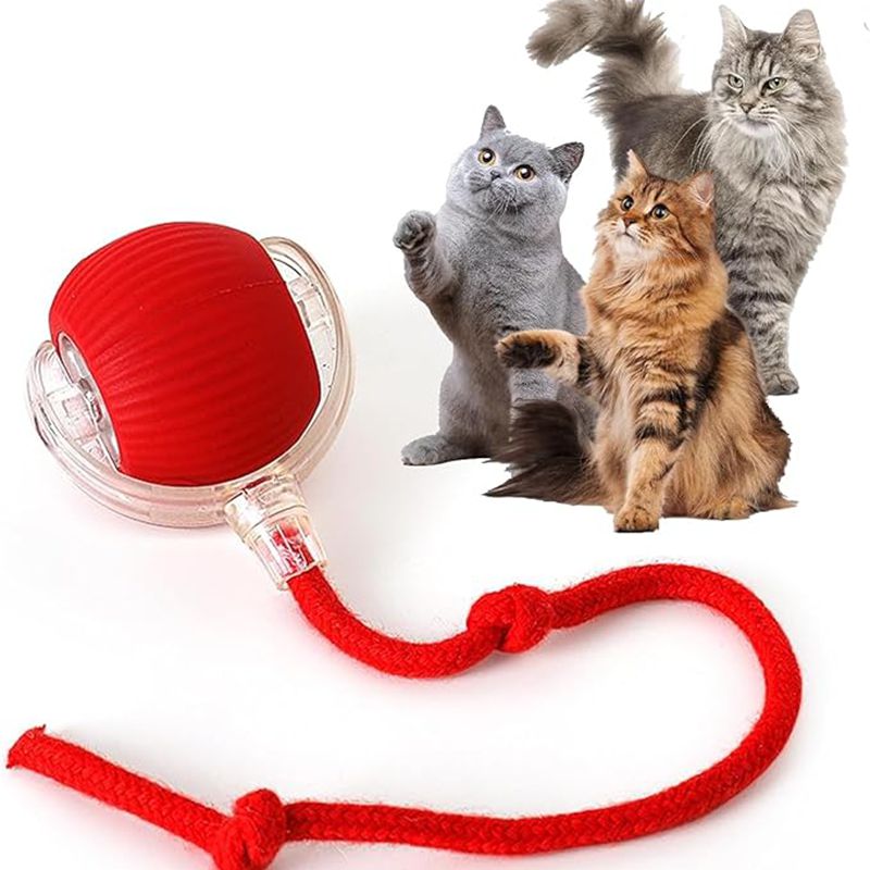 Red cat toy with a rope and three cats on a white background